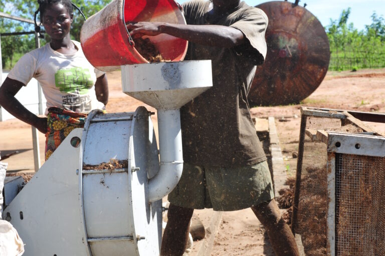 11 015 Nu cracker DSC 8739